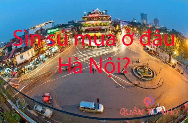 Sìn sú mua ở đâu Hà Nội