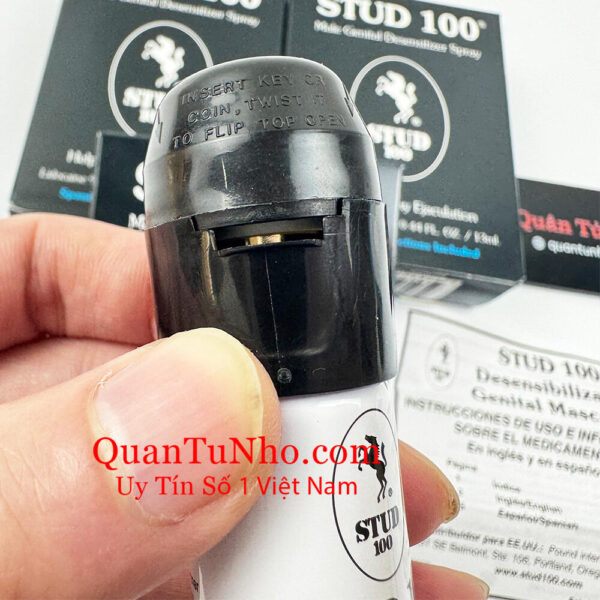 Nắp Stud 100