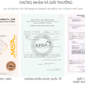 Giấy tờ Tem Vinix 100 Hàn Quốc