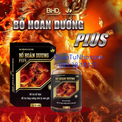 Bổ Hoàn Dương chính hãng