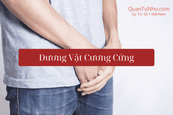 dương vật cương cứng