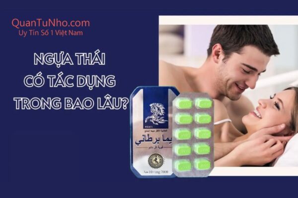 Ngựa Thái Nhà Thuốc An Khang Có Bán Không? Bật Mí Địa Chỉ Mua Thuốc Ngựa Thái Chính Hãng Giá Tốt