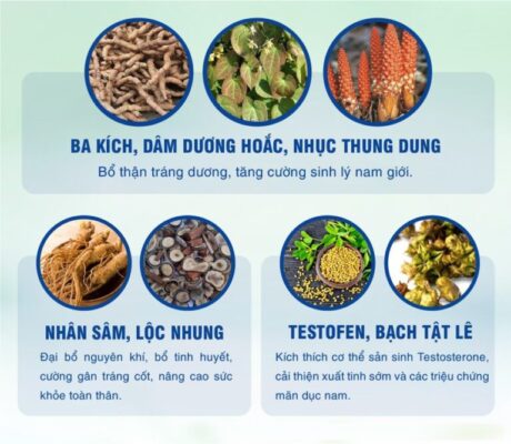 Thành phần thuốc ngựa thái