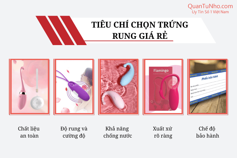 tiêu chí chọn trứng rung giá rẻ