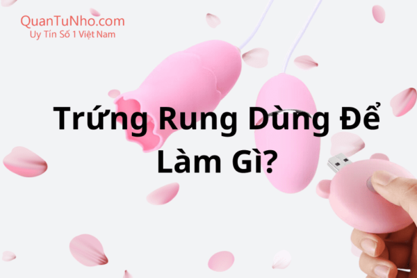 trứng rung dùng để làm gì