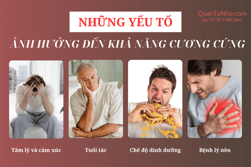 yếu tố ảnh hưởng độ cương cứng