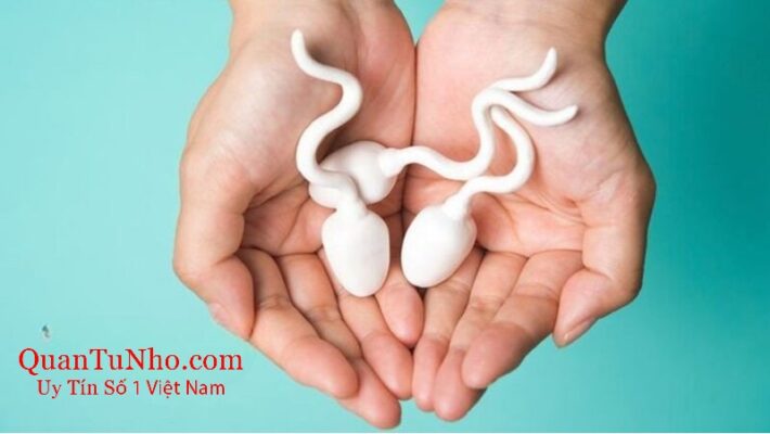 Hiểu được tinh trùng sống được bao lâu ngoài không khí mang đến nhiều lợi ích thiết thực