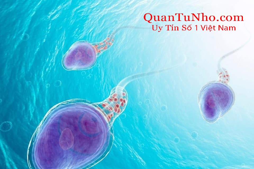 Trong môi trường nước ấm, tinh trùng có thể tồn tại trong vài phút