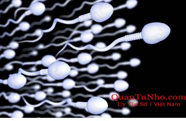 Tinh trùng sống được bao lâu còn phụ thuộc vào môi trường khác nhau