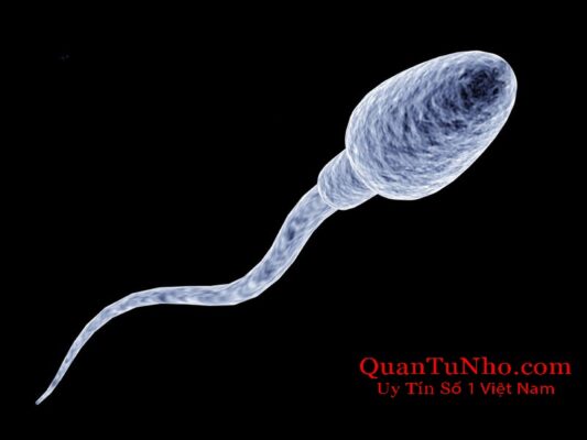 Tinh trùng sống được bao lâu trong không khí thường chỉ tính bằng giây hoặc phút