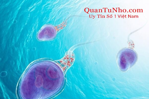 Tinh trùng sống được bao lâu trong nước phụ thuộc vào nhiều yếu tố