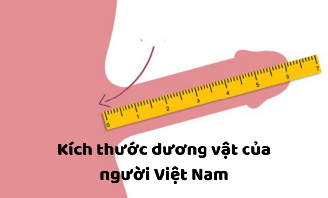 Chiều dài cậu nhỏ bao nhiêu là chuẩn