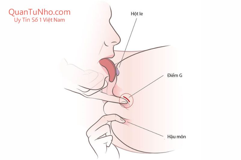 kết hợp các điểm g