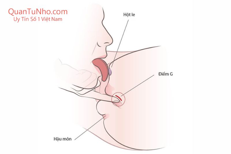 kết hợp tay khi bú lồn