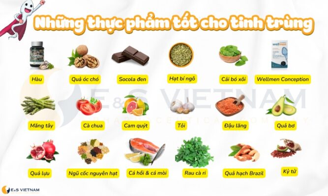những thực phẩm tốt cho tinh trùng