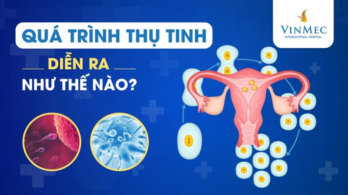 quá trình thụ tinh