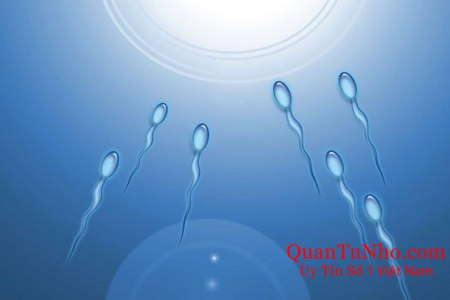 Thắc mắc làm sao để biết tinh trùng đã vào tử cung