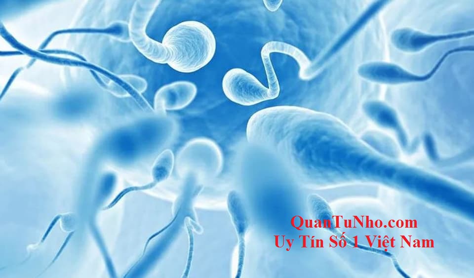 Tinh trùng sống được bao lâu trong nước phụ thuộc vào nhiều yếu tố
