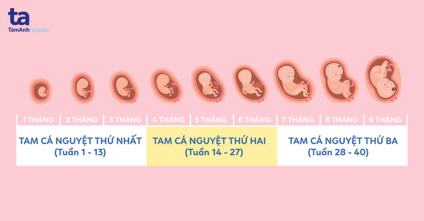 9 thang mang thai