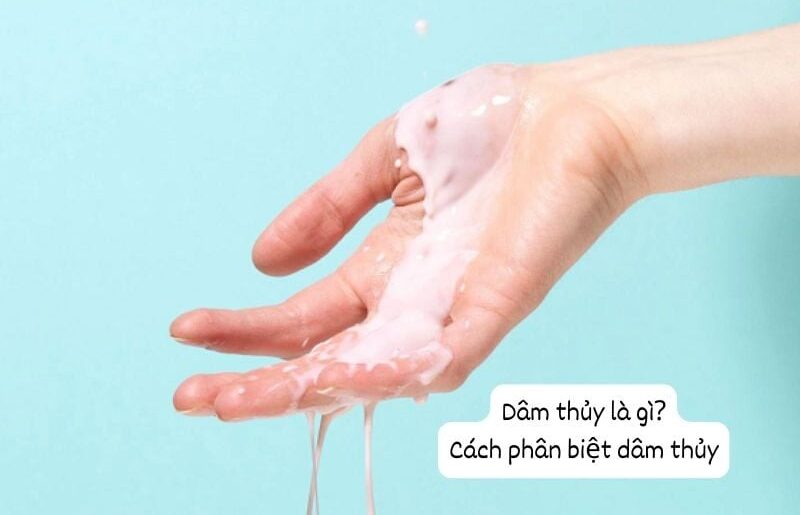 dâm thủy
