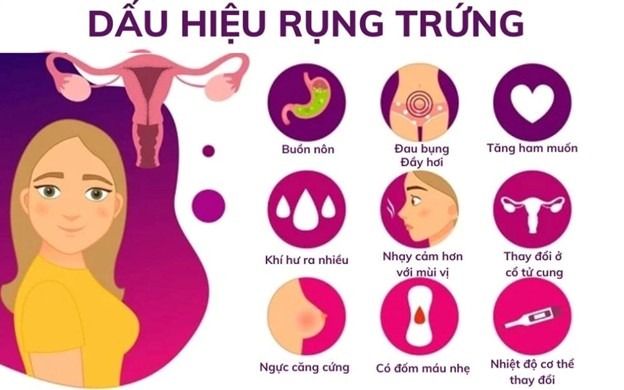 các dấu hiệu nhận biết