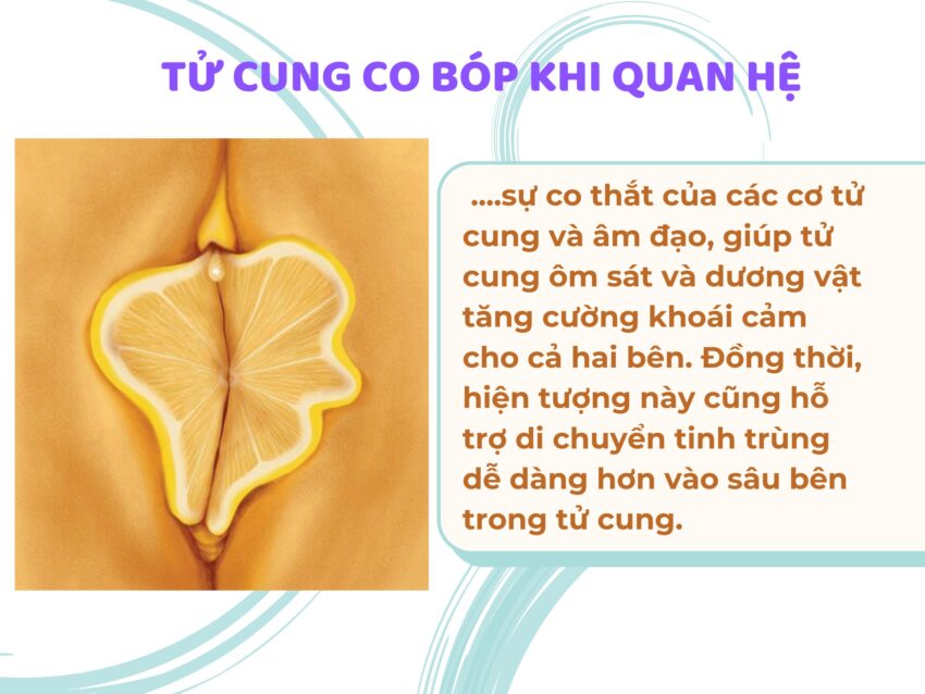 Lợi Ích Của Sự Co Bóp Tử Cung Đối Với Cảm Xúc Và Sức Khỏe