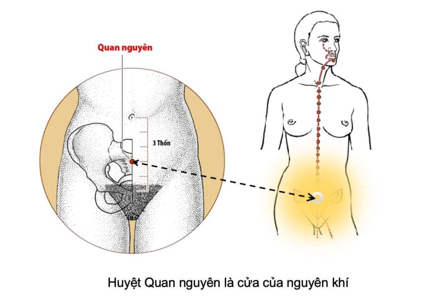 Bấm huyệt kích thích ham muốn ở nữ giới