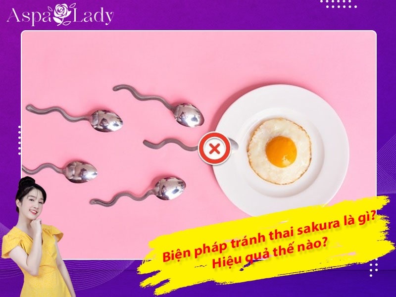 Thành Phần Và Cơ Chế Hoạt Động