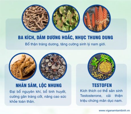 bo duong