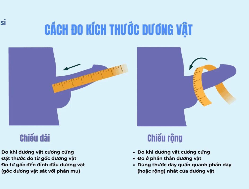 cách đo dương vật