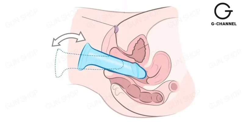 cách đưa dương vật vào âm đạo