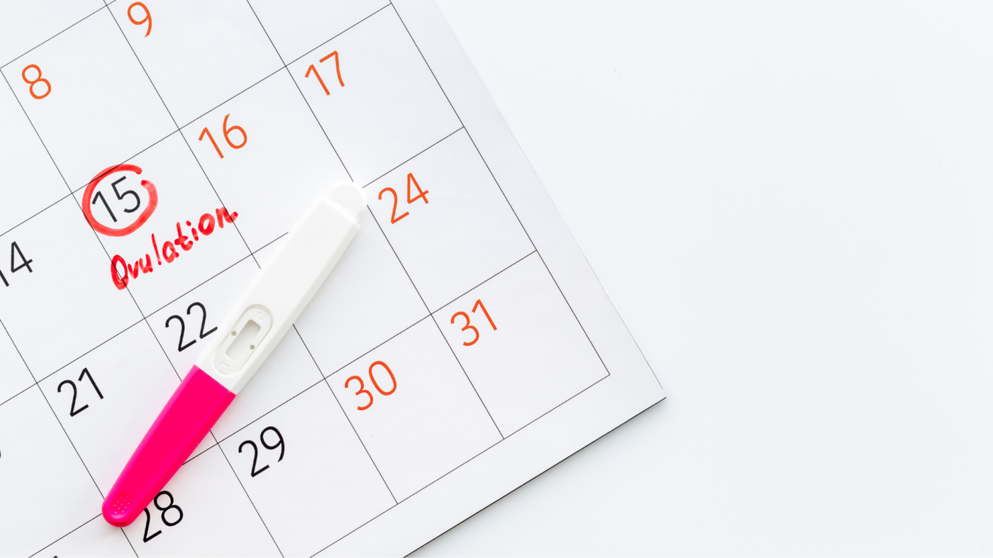 Cách Tính Ngày Có Thai Sau Khi Quan Hệ: Hướng Dẫn Y Khoa Chi Tiết 1 Cách Tính Ngày Có Thai Sau Khi Quan Hệ