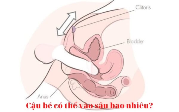 Cậu Bé Có Thể Vào Sâu Bao Nhiêu?
