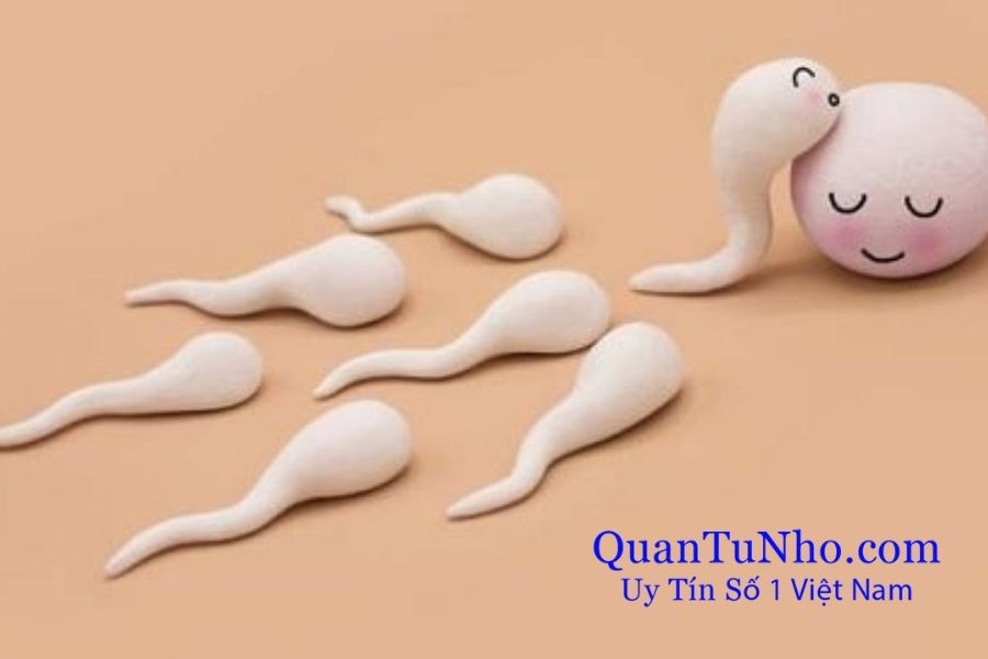 Câu hỏi thường gặp về “vừa đút vào rút ra có thai không”