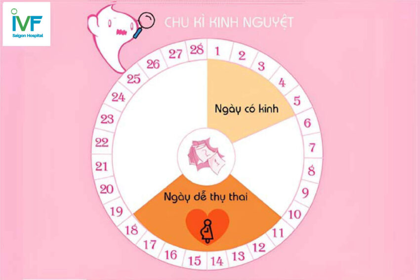 chu ky kinh nguyet 1 1 e1763699244404