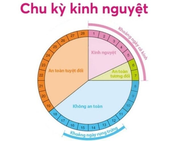 chu kỳ kinh nguyệt