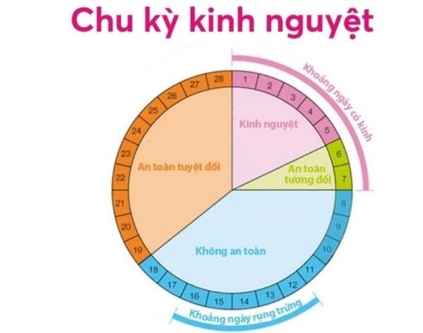 chu kỳ kinh nguyệt