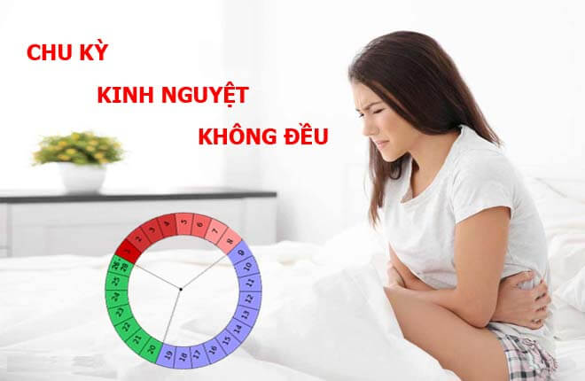 chu kỳ không đều