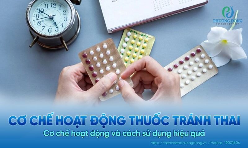 Cơ Chế Và Tác Động Cơ Bản Của Thuốc Tránh Thai
