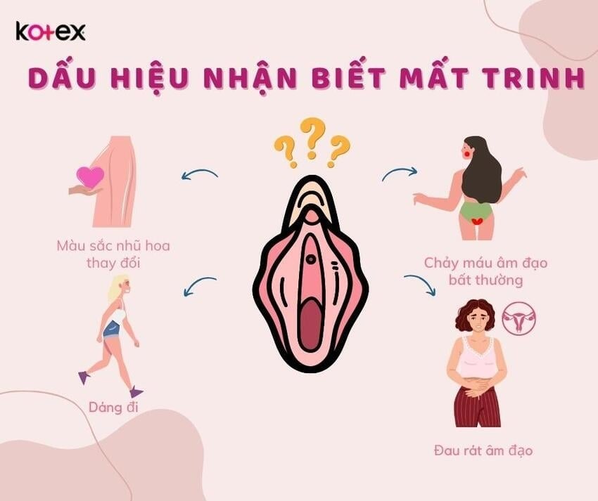 Dấu Hiệu Mất Trinh