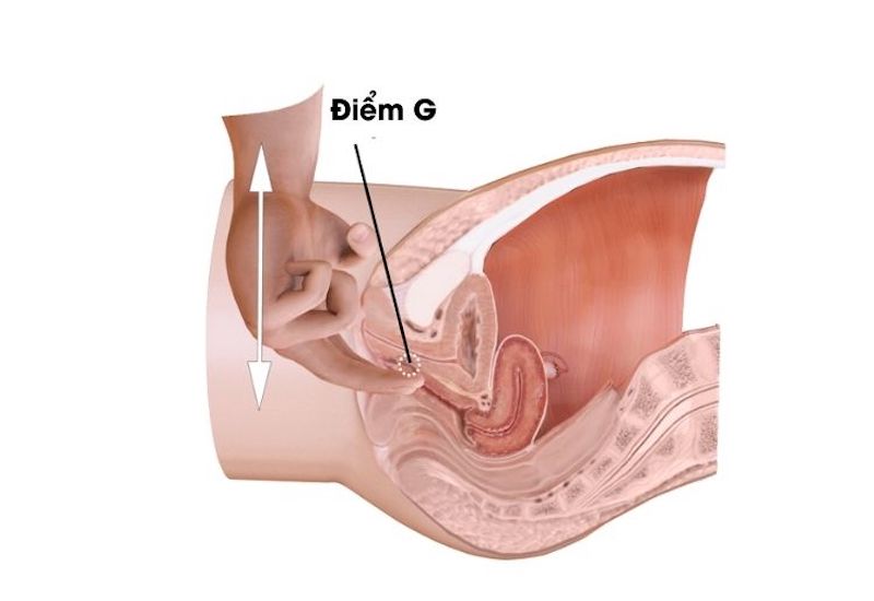 điểm G