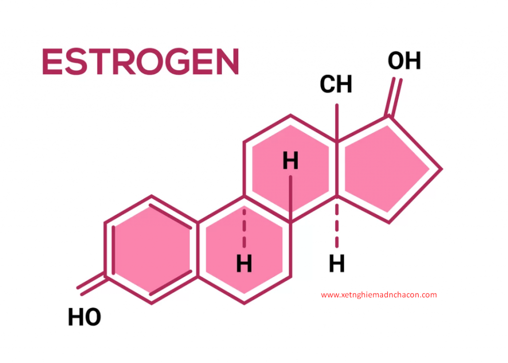 Sắc tố nữ: Thông tin, Nguyên nhân, Yếu tố ảnh hưởng và Cách cải thiện 9 Estrogen