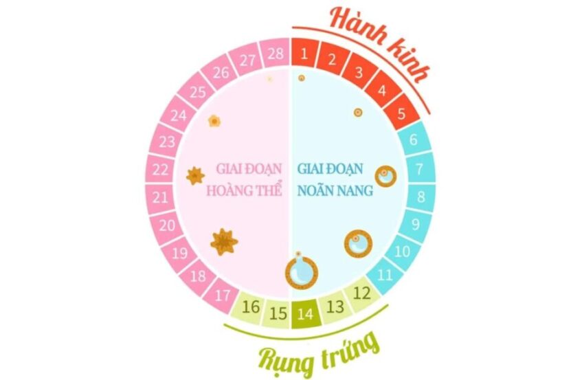 quan hệ gần ngày kinh nguyệt có thai không