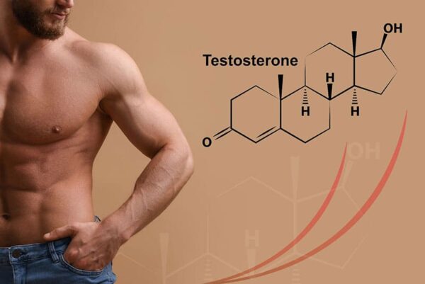 hormone testosterone