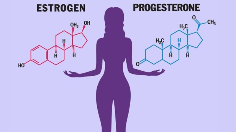 mat can bang hormone nu gioi