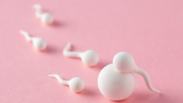 quan hệ gần ngày kinh nguyệt có thai không