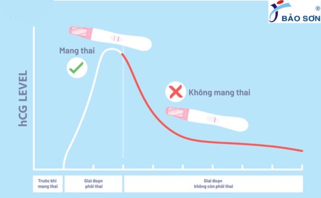 nồng độ HCG