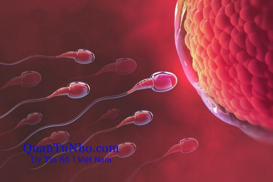 Quan hệ vào ngày đèn đỏ có sao không