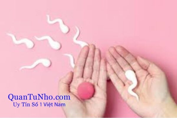 quan hệ vào ngày rụng trứng có thai không