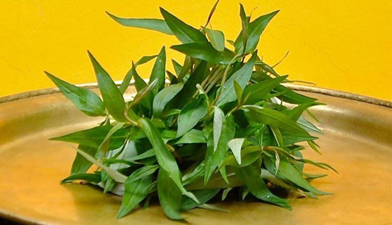 rau răm
